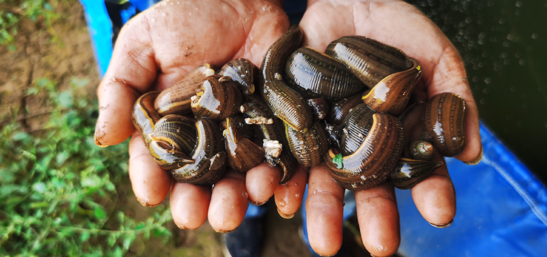 1677420212546094.png 1677420212546094.png